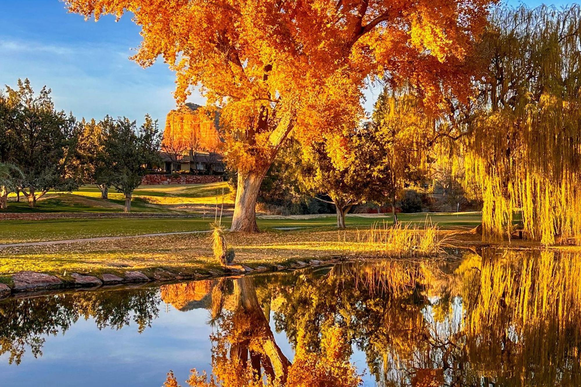 סדונה Canyon Mesa Retreat מראה חיצוני תמונה